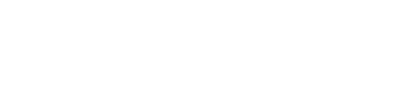 Valor Logo